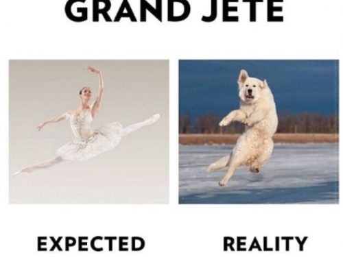 10 meme sulla danza che riflettono la realtà